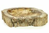Polished Petrified Wood Dish - Madagascar #282376-1